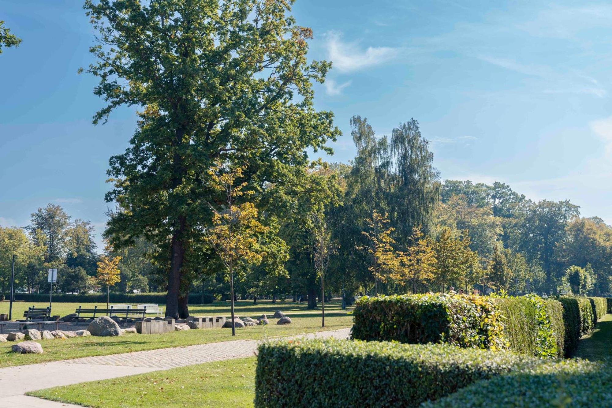 Meergut Hotels Ostseebad Kühlungsborn Exteriör bild
